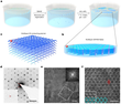 Diagrams and microscope images showing the synthesis and structure of 2D polyaniline crystals.