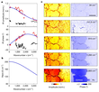 Nanoimaging and spectroscopy data of 2DPANI crystals showing their optical properties.