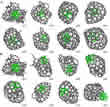 HRTEM images showing gold atoms, gold cluster and gold crystallites on graphene in standard and cross section view