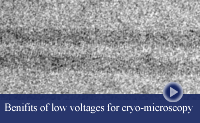 TEM image of 4 Tobacco Mosaic viruses imaged with different electron dose.