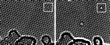 Images of graphene at Scherzer focus and 15 nm defocus, left image shows no vacancy, right image clearly shows a vacancy