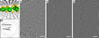 Images of carbon nitride formation