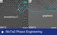 Phase transformations in MoTe2 from defects to nanowires
