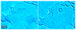 piece of graphene (left) and newly formed fullerene (right)