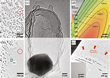 evaporation of gold nanoparticles on graphene