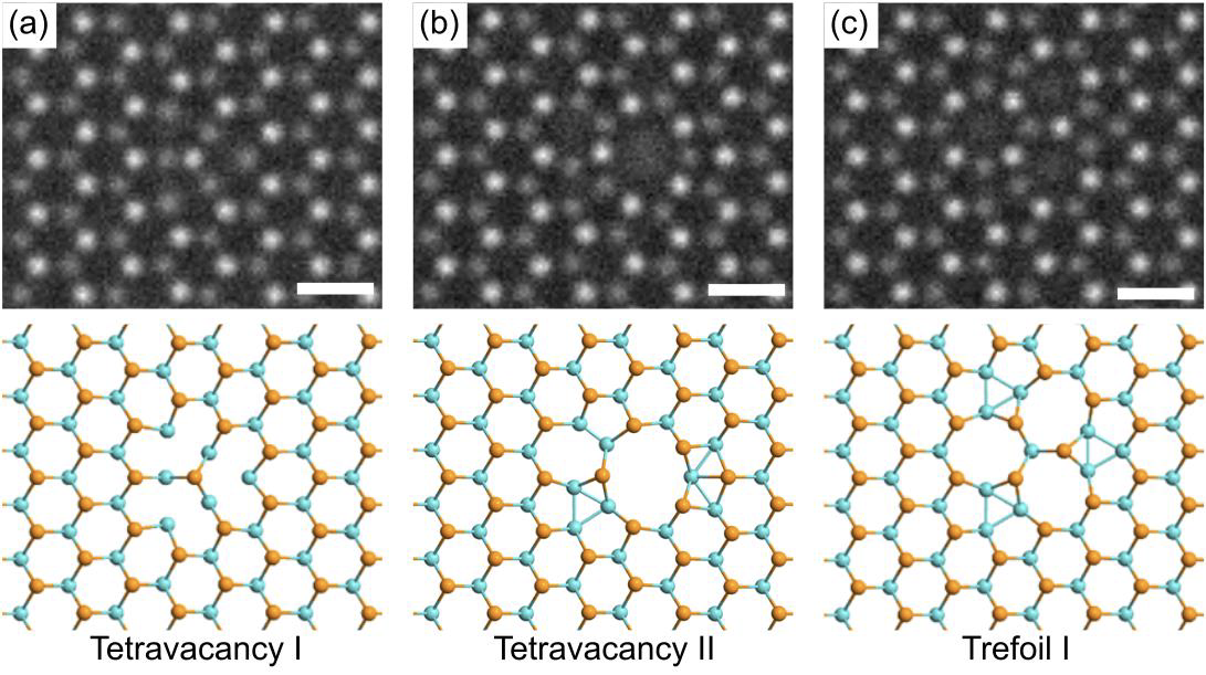 Defect type Tetra 1 + 2 trefoil 1