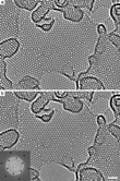 thumbnail of the HRTEM observation of formation of second graphene layer