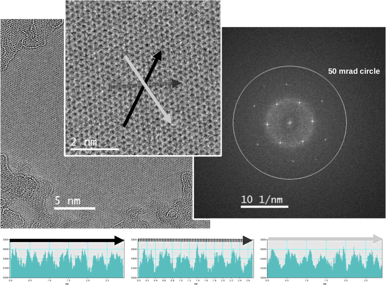 Young's fringes demonstrating the achievable resolution of the SALVE II microscope