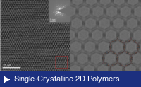 Single-crystalline 2D PAV structure by HR-TEM