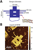 DNA origami